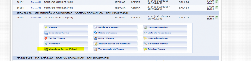Arquivo:Visualizar turma virtual.PNG