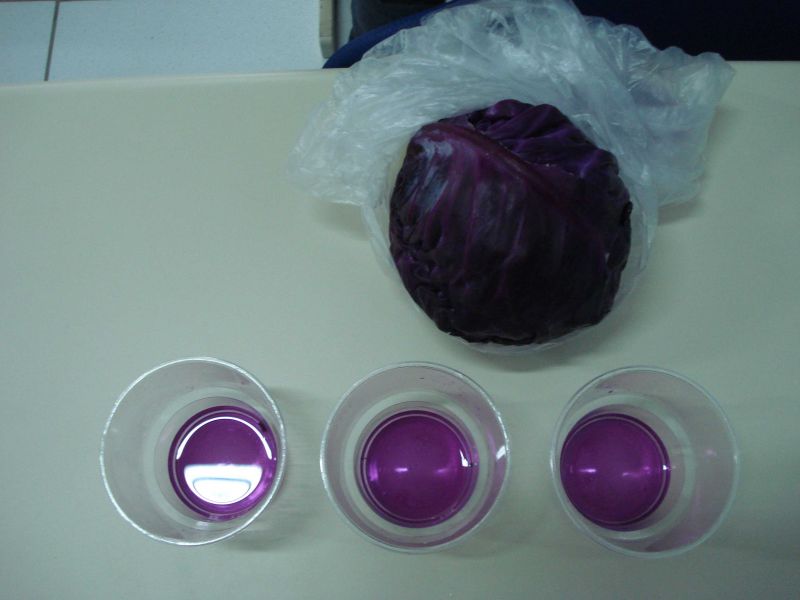 Arquivo:Extrato repolho roxo antes.jpeg